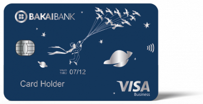 VISA BUSINESS